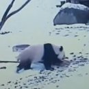 데굴데굴 이미지