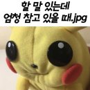 반석마켓 이미지