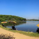 동방낚시터 이미지