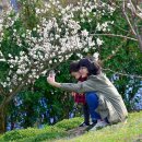 꽃과사람들 이미지