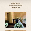 엘로디(Elody) 이미지
