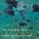 스타정비 | 세부여행 아이와 둘이 스타호핑 솔직후기(두번째호핑)