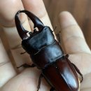 (주)운우 이미지