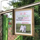 2020년 6월 셋째 주 일상