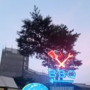 송강애견 이미지