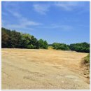 송백공인중개사사무소 이미지