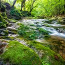 도림사(매표소) 이미지