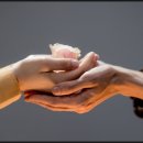 (주)수정스포츠 이미지