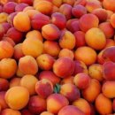 기장동물병원 이미지