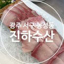 진하수산 | 광주 방어 맛집, 광주 농성동 진하수산 대방어 솔직후기