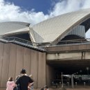 키즈웨일즈 | [호주]시드니 오페라하우스 투어&amp;다인 프로그램 예약 및 후기