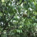 목통마을 내 이미지