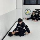 존프랭클 위즈덤 주짓수 이미지