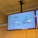 냥이싸롱 | 대전 은행동 고양이카페 냥이싸롱 다녀온 솔직후기 (실내데이트 추천)