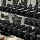 프로원휘트니스 신월 | 프로원휘트니스 신월 PT 우디 트레이너쌤과 체지방 감량 후 달라진 것들