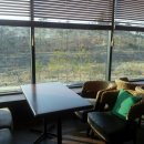 은행정천 이미지