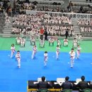 인성품태권도장 이미지