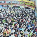 (4월 6일)제21회 예산 윤봉길 전국마라톤대회 공지 이미지
