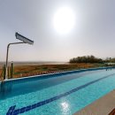 코지네이쳐 이미지