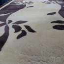 스타항균세탁 이미지