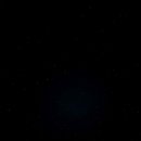 까미노데플로레스타2 이미지