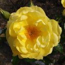 유엔조각공원 이미지