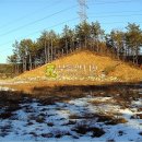 충남 금산군 부리면 선원리 / 임야 야산, 약초재배부지 선산용지 명당묘자리 유실수식재부지 나무재배용지 / 1 이미지