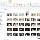 이일수 | [울산 본식 스냅] 쨍한 화이트 조명 &amp; 어두운 홀에 찰떡 - 범작 스튜디오 (홈셀렉/앨범 수령 후기)