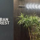 분당-356 이미지