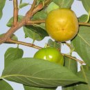 유빈농장 이미지