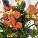 플로랄데이즈 이미지