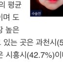 [6·13지방선거]&#39;전국 최다 유권자&#39; 경기도 투표율...과천시 58.5% 최고 - 시흥시 42.7% 최저 이미지