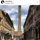 장미약국 이미지