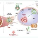 고지혈증 분류 스타틴 콜레스테롤에 좋은 영양제 이미지