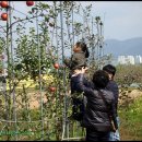 예진가족농장 이미지