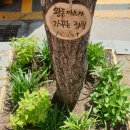 우리동네연구소 퍼즐협동조합 네이버블로그