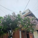 흥생한의원 네이버블로그