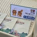홍삼나라칠곡점 | 서울시청광장 꿀벌 살리기 프로젝트: 꿀벌의 Bee행 후기