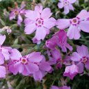 동산밧데리 이미지