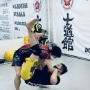 베어종합격투기