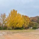 오창초 가좌분교 이미지