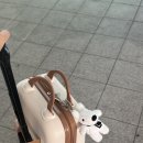 성산호스텔 | 신혼여행｜리스본 2박 3일(대한항공 인천-리스본 직항 후기,리스본 숙소,리스보아 카드,CASTRO 에그...