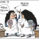 칼럼 & 탄원 [울산시장 선거개입 재판] 이미지