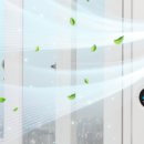 에어리프 네이버블로그