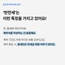복덕빵 이미지