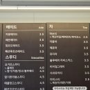 샌디담 이미지