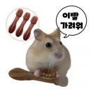 비건햄스터