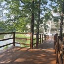 야외무대 화장실 이미지