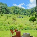 카페만디 이미지