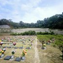 고령목장 | 사전예약과 후기 비교로 알아보는 실제 만족도